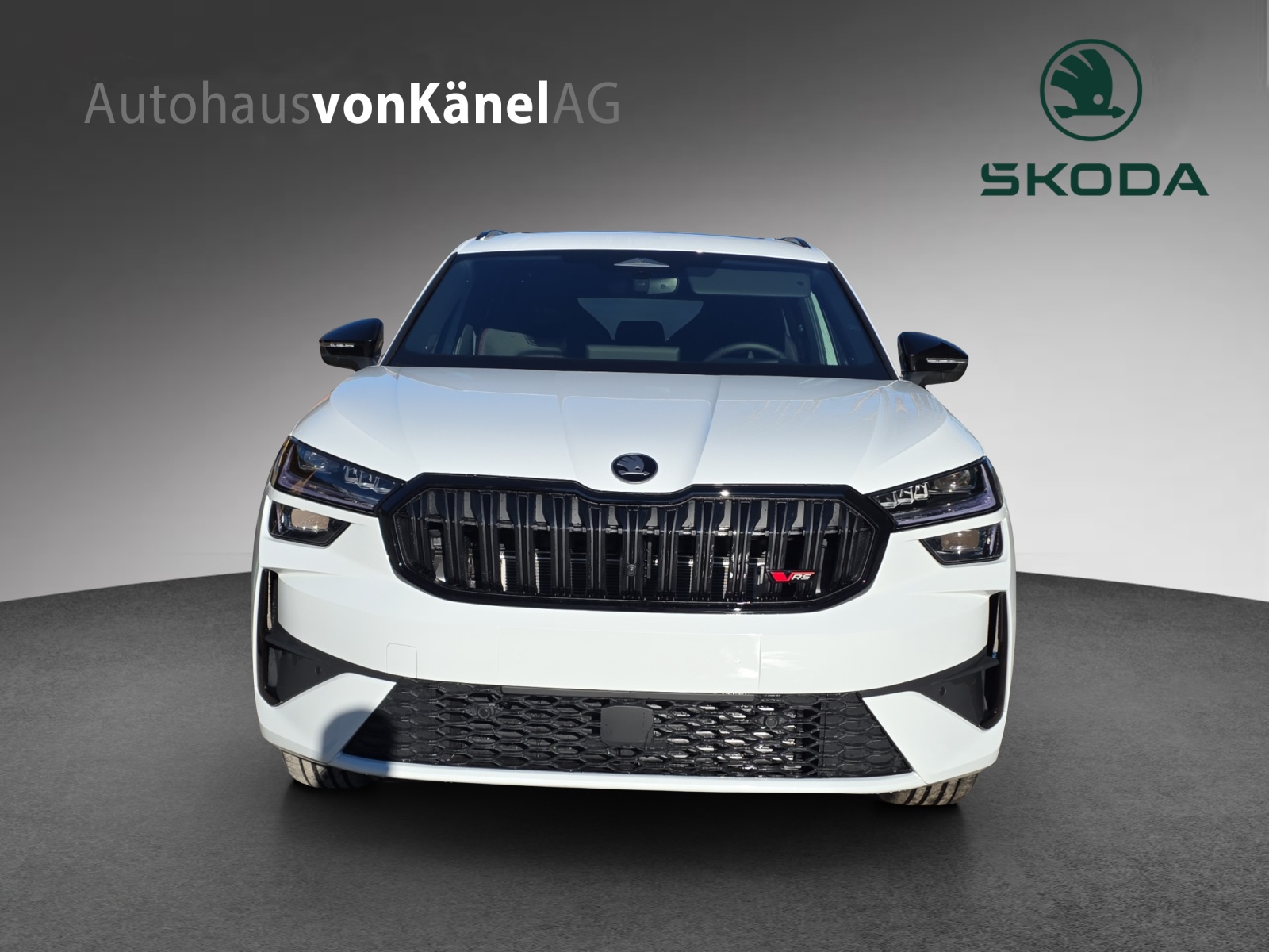 SKODA Kodiaq 2.0 TSI RS 4x4-showroom-element-3