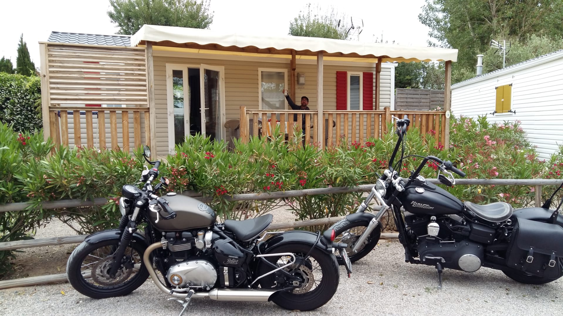 TRIUMPH Bonneville 1200 Bobber ABS-image-6
