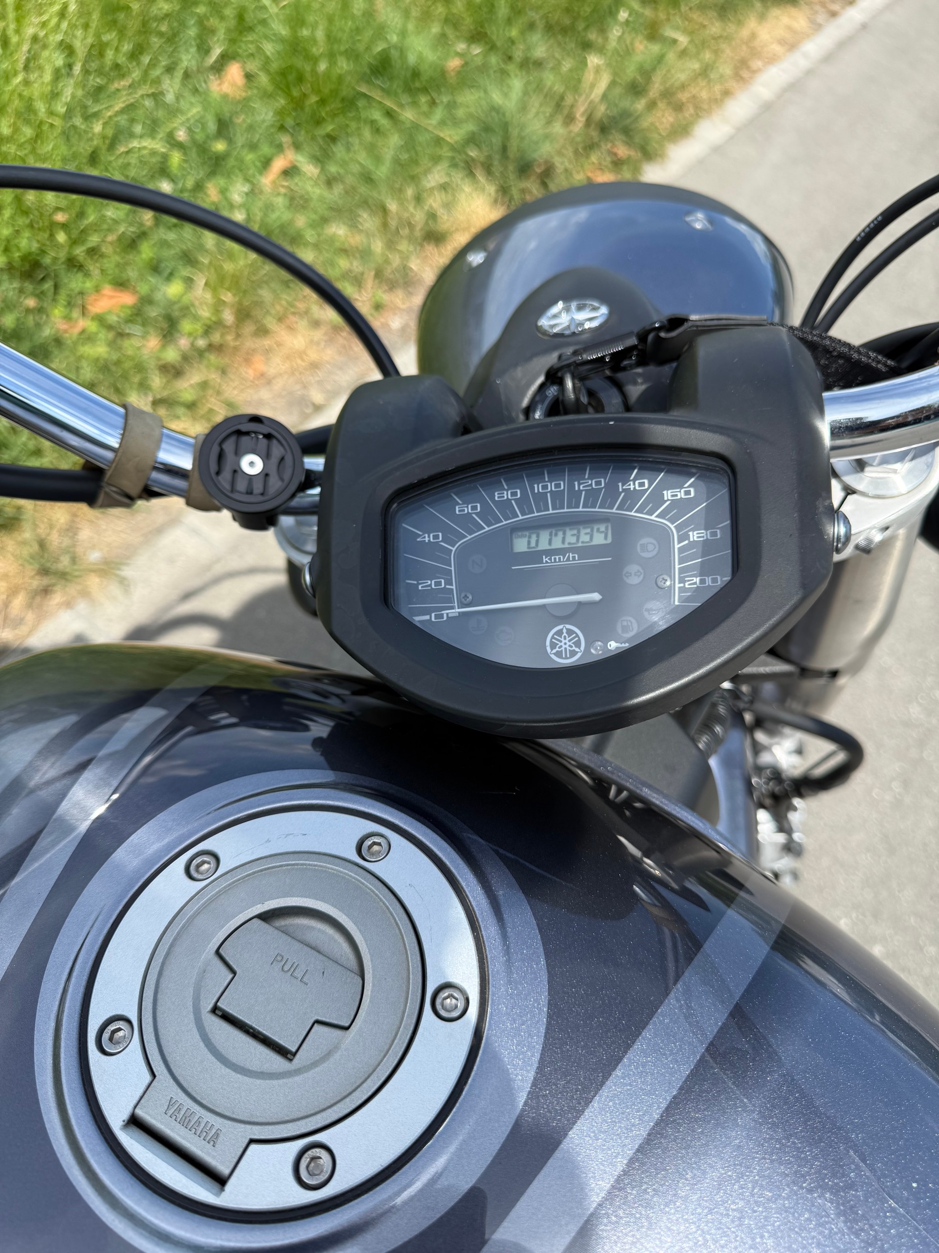 YAMAHA XVS 1300 A Midnight Star-image-8