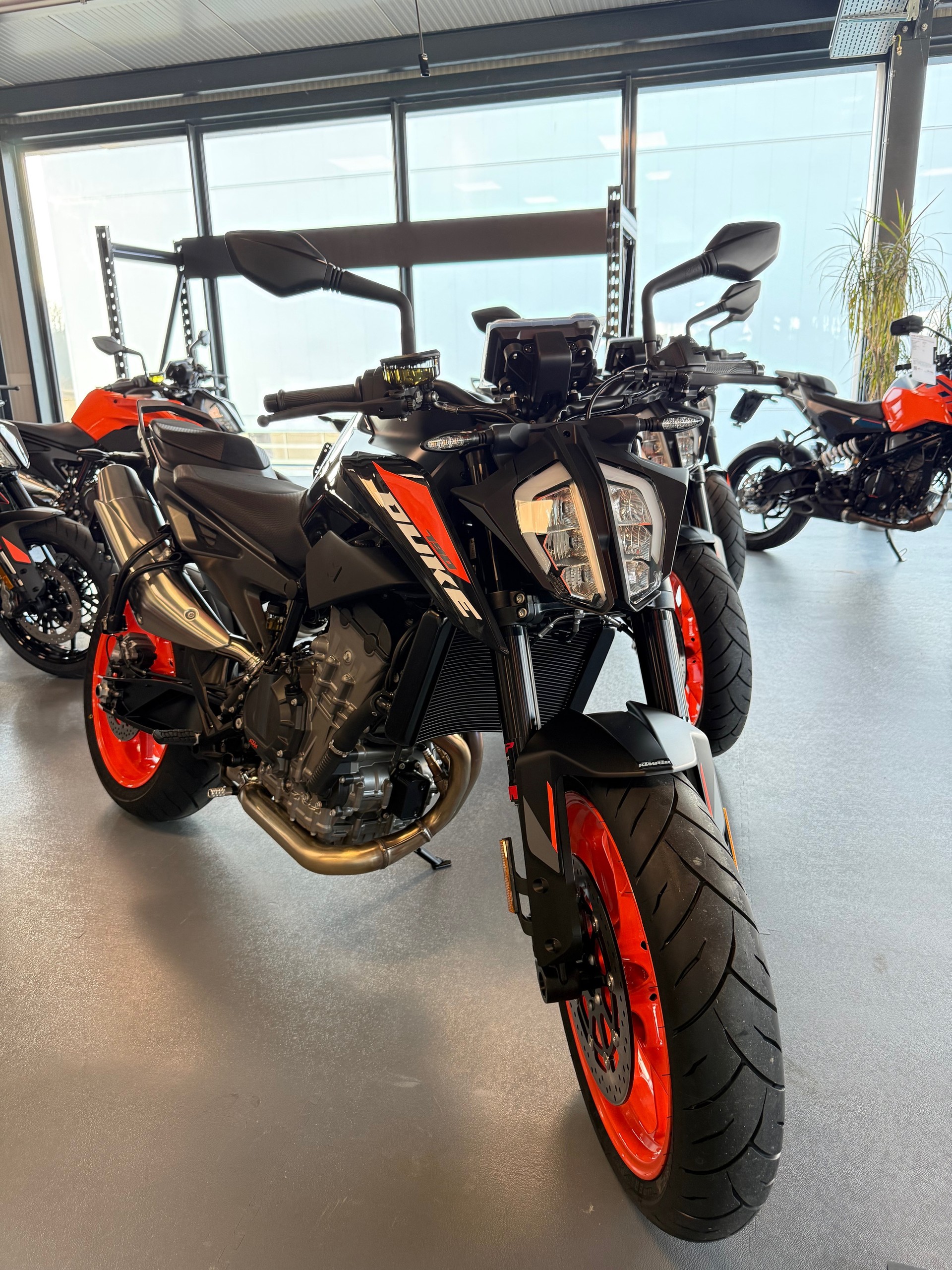KTM 790 Duke 2026-image-2