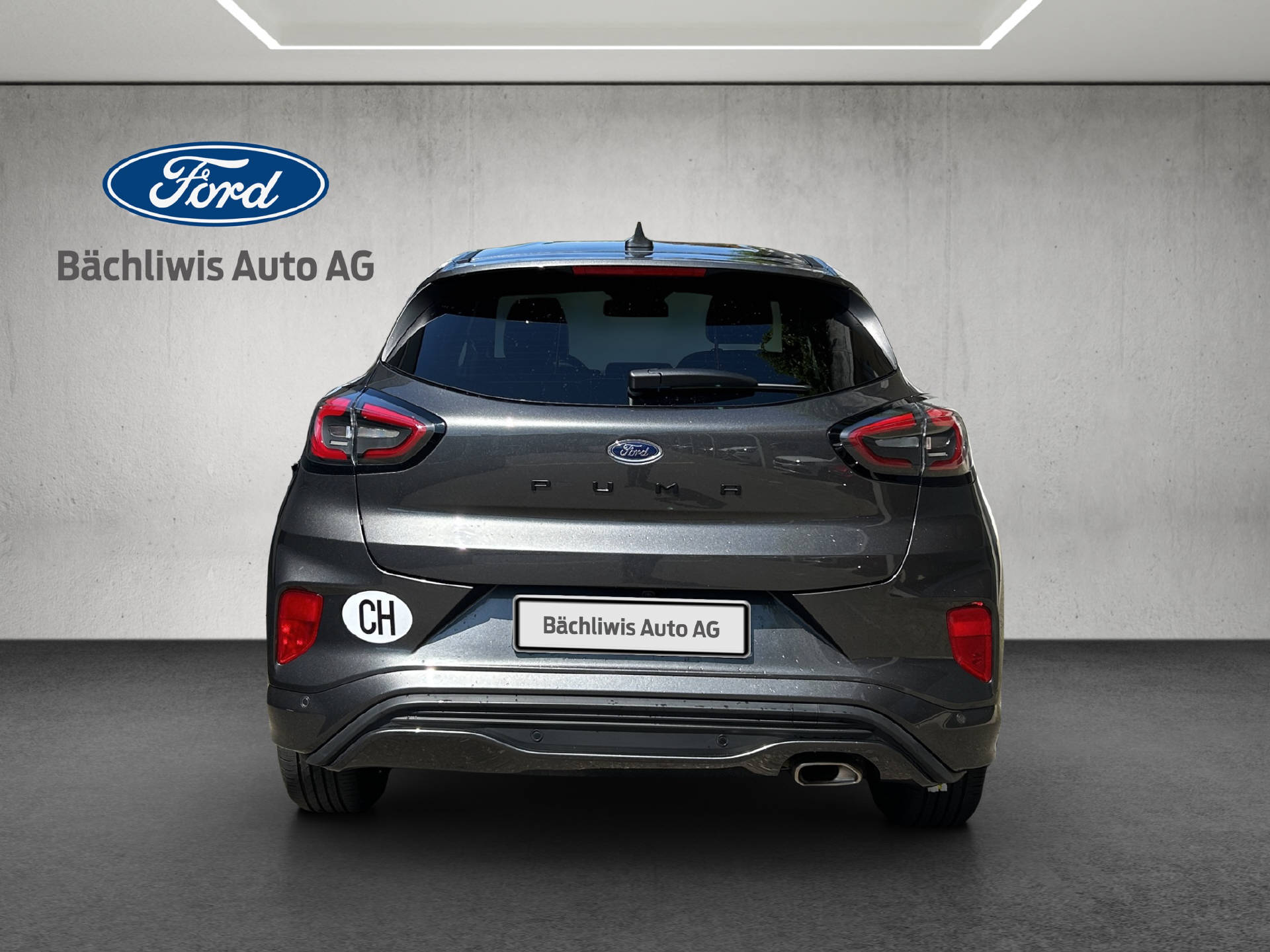 FORD Puma 1.0 EcoB Hybrid 125 ST-Line X-showroom-element-3