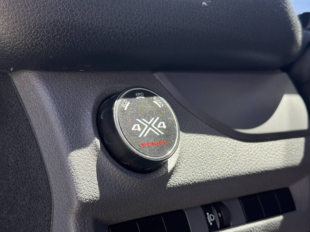 PEUGEOT Expert 2.0 BlueHDi 120 4x4 Dangel-image-11