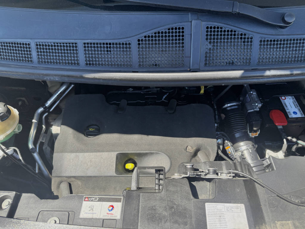 PEUGEOT Expert 2.0 BlueHDi 120 4x4 Dangel-image-25