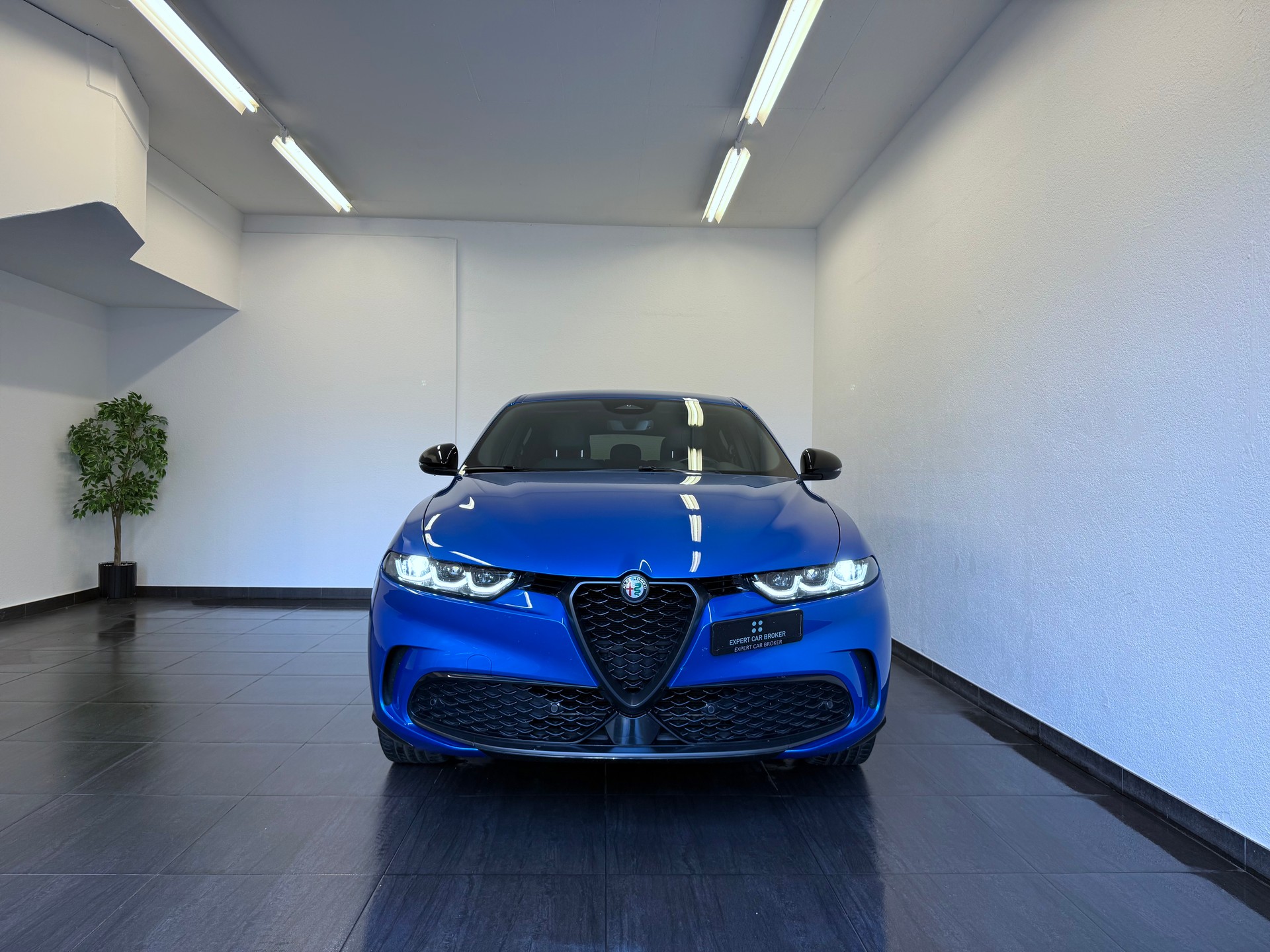 ALFA ROMEO Tonale 1.5 48V Hybrid Speciale-showroom-element-3