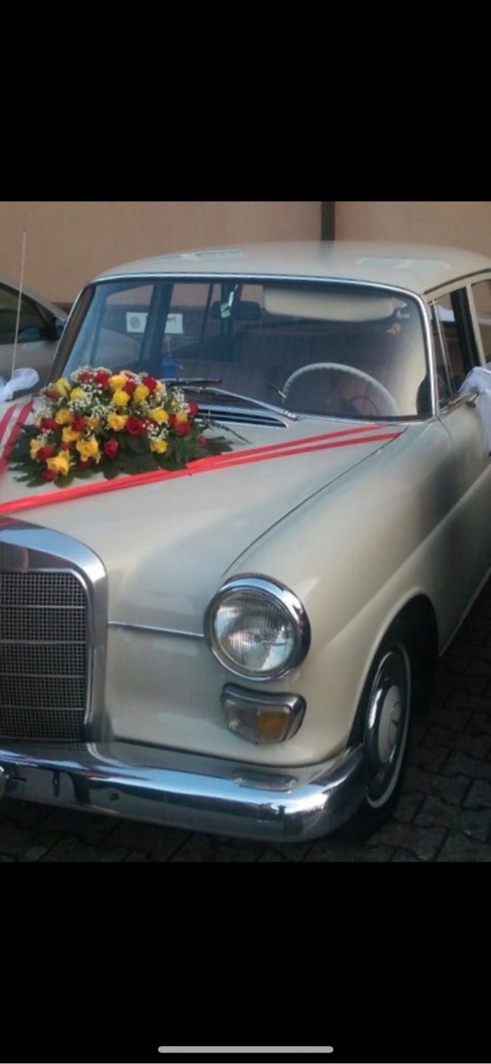 MERCEDES-BENZ 230 Kleine Heckflosse-image-13