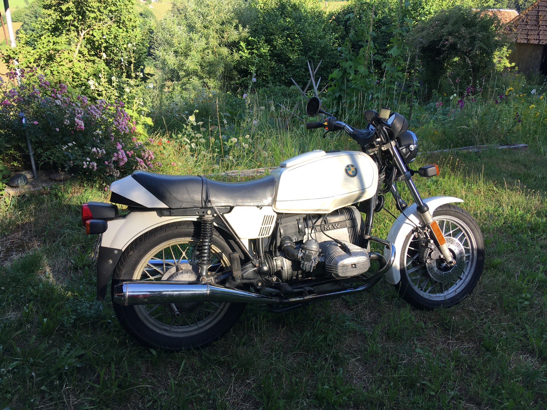 BMW R 65-image-2