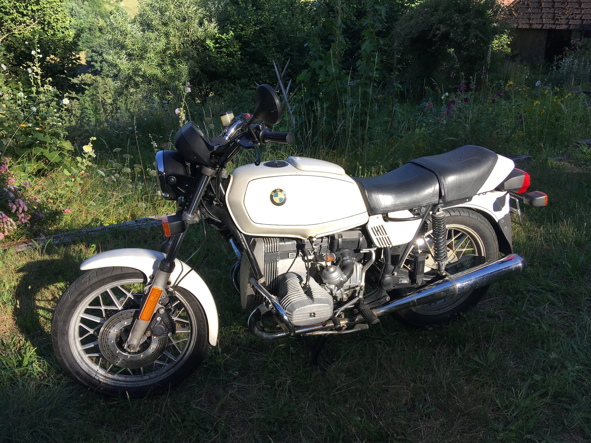 BMW R 65