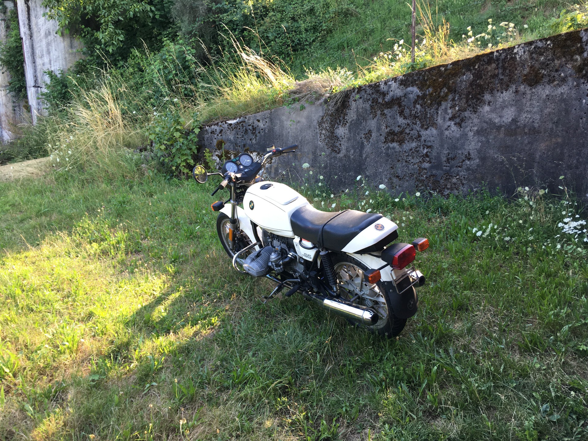 BMW R 65-image-1