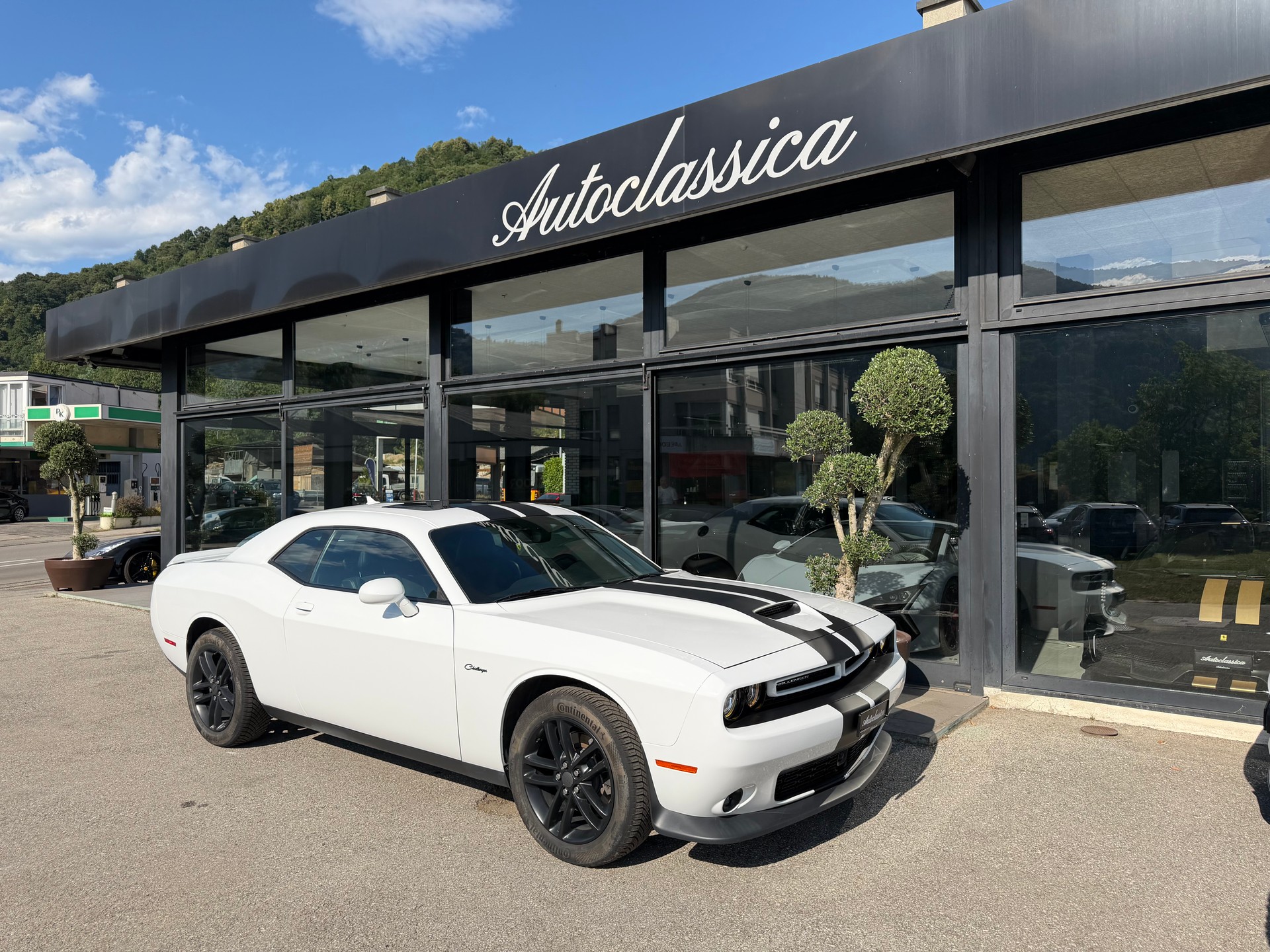 DODGE Challenger-image-4