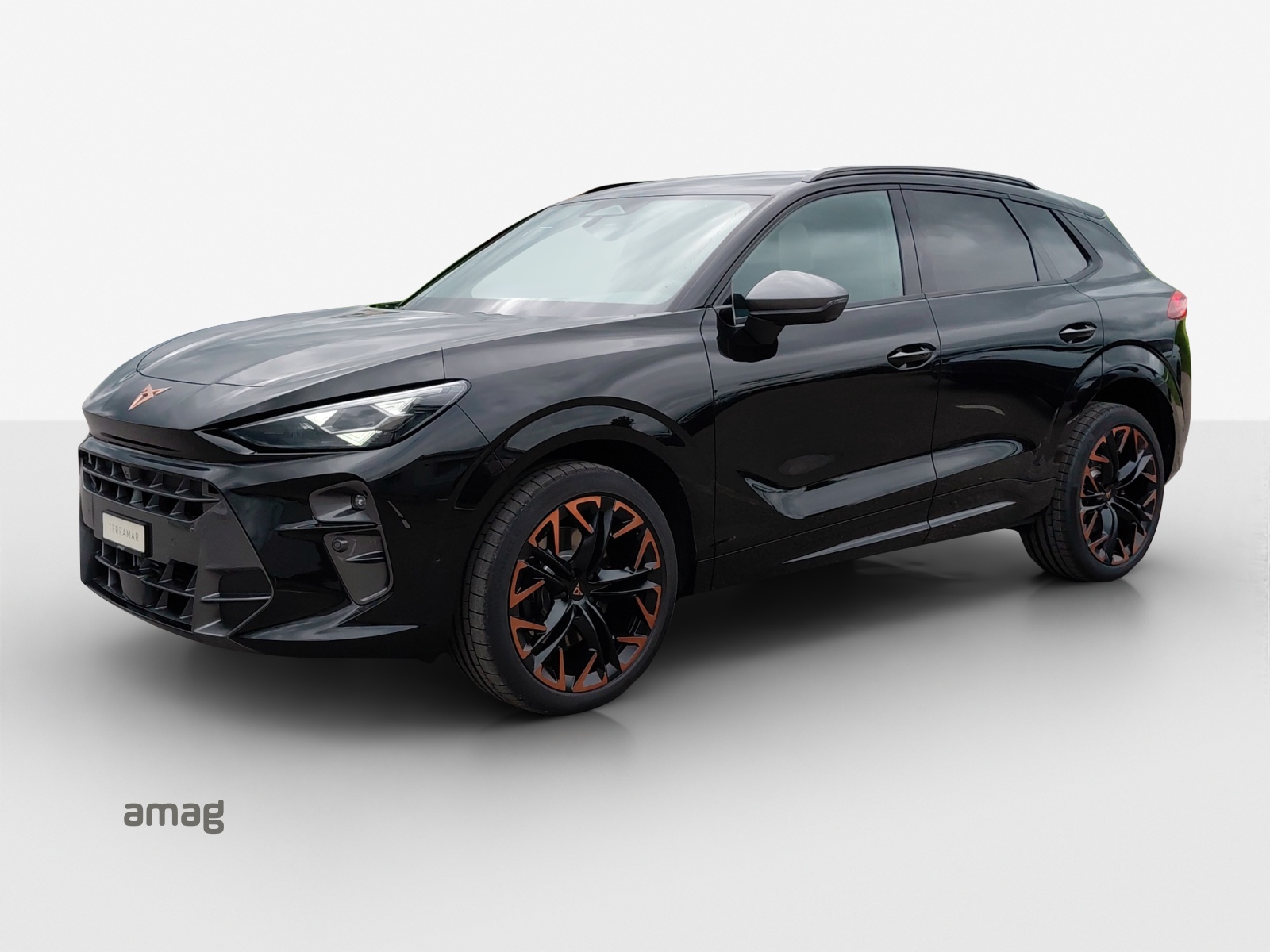 CUPRA Terramar 2.0 TSI DSG 4Drive