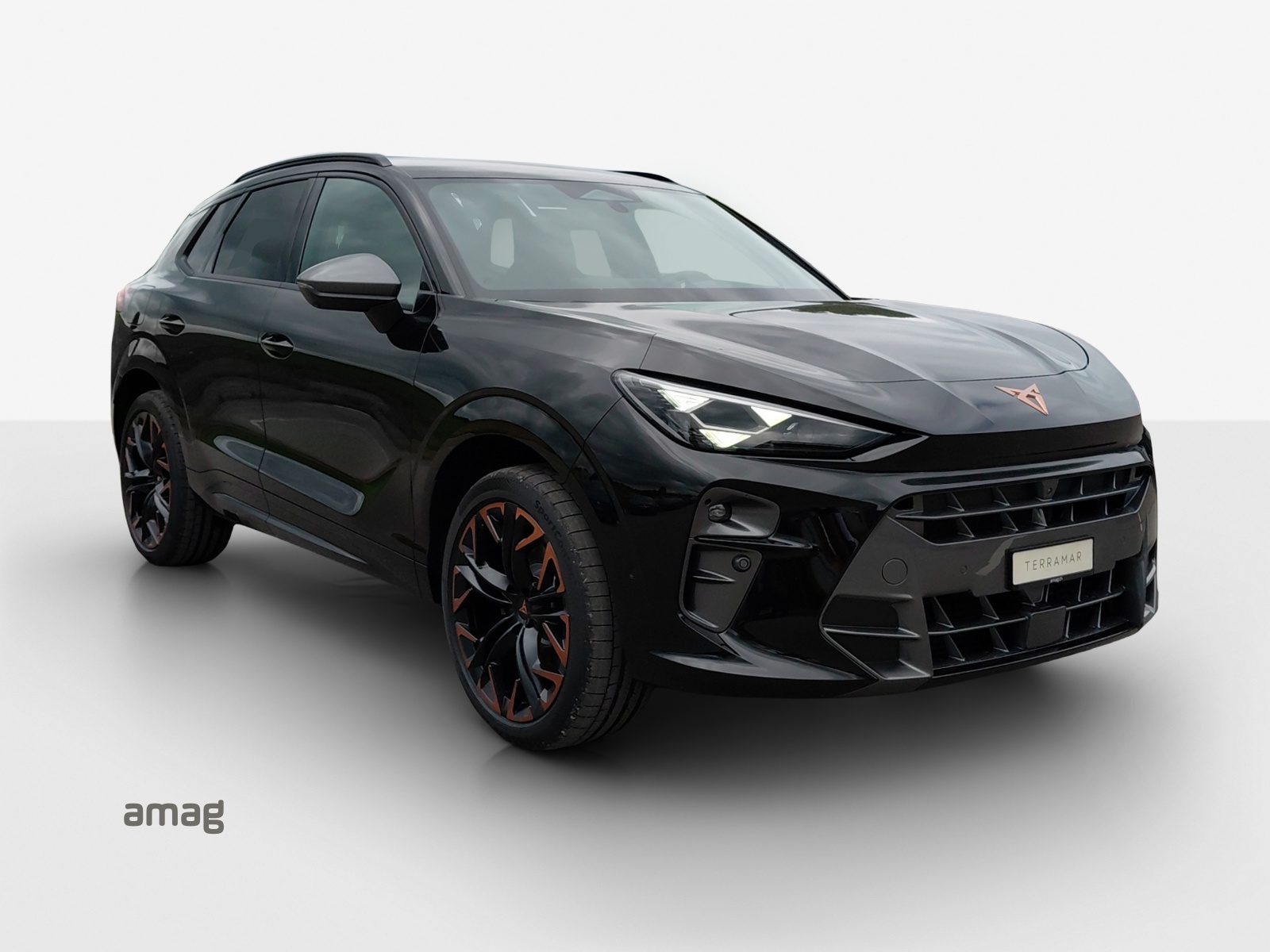 CUPRA Terramar 2.0 TSI DSG 4Drive-image-5