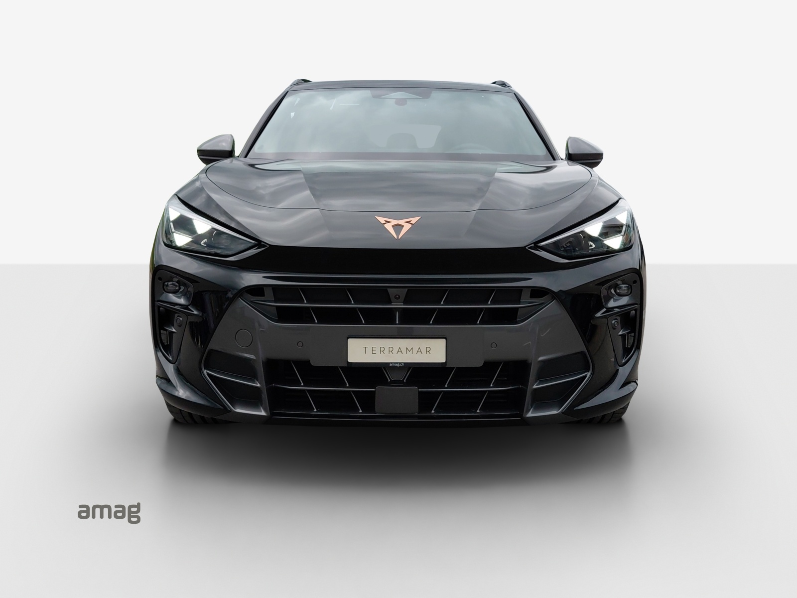 CUPRA Terramar 2.0 TSI DSG 4Drive-image-6