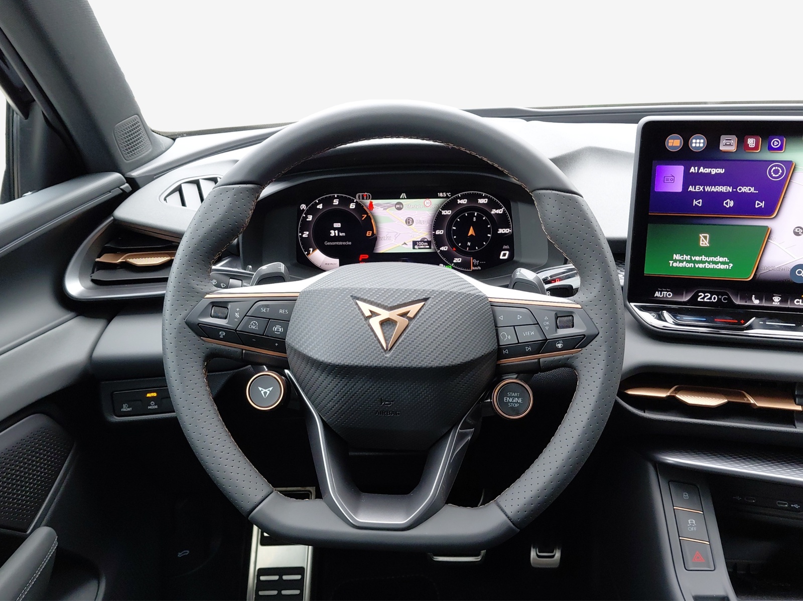 CUPRA Terramar 2.0 TSI DSG 4Drive-image-9