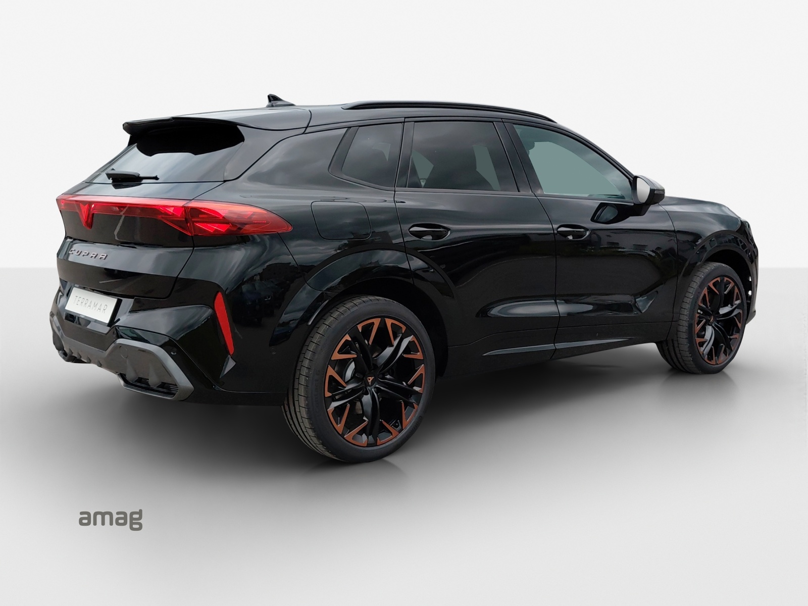 CUPRA Terramar 2.0 TSI DSG 4Drive-image-4