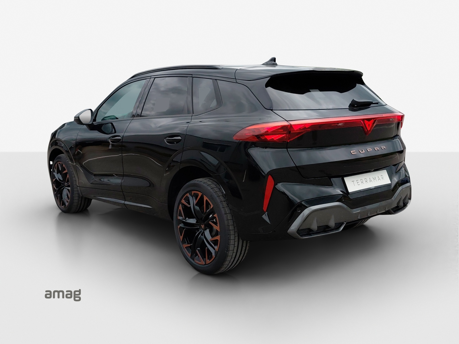 CUPRA Terramar 2.0 TSI DSG 4Drive-showroom-element-2