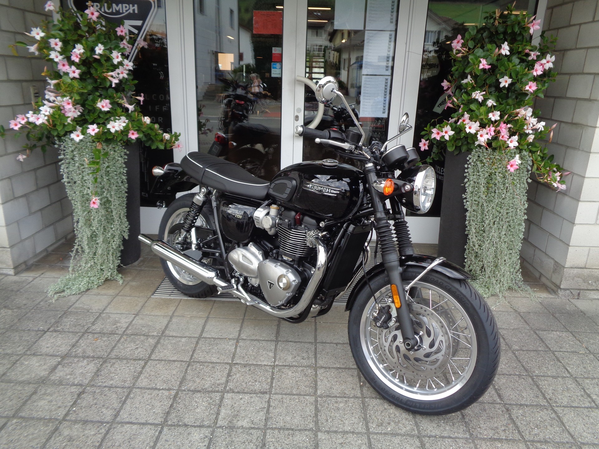 TRIUMPH Bonneville T120-image-2