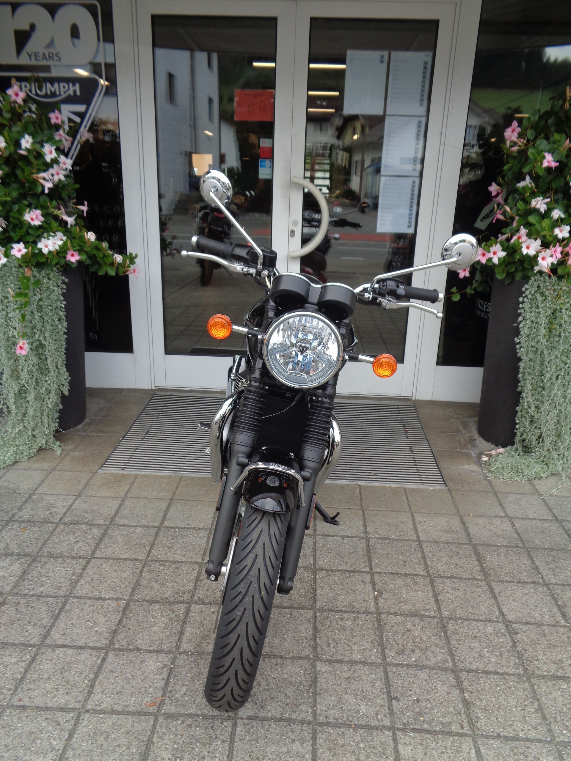 TRIUMPH Bonneville T120-image-5