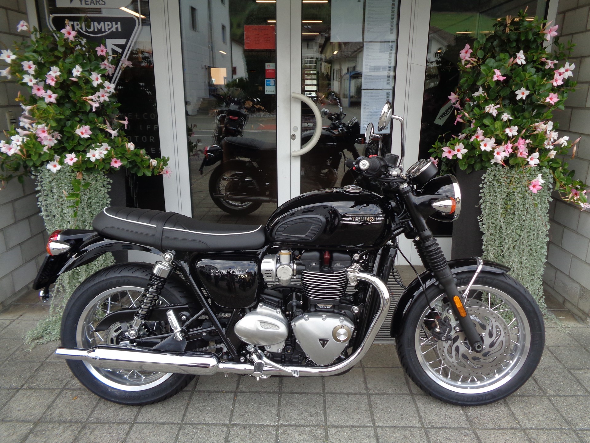 TRIUMPH Bonneville T120-image-1