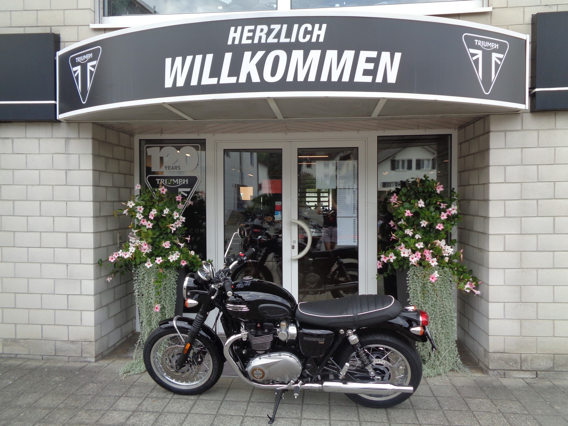 TRIUMPH Bonneville T120-image-3