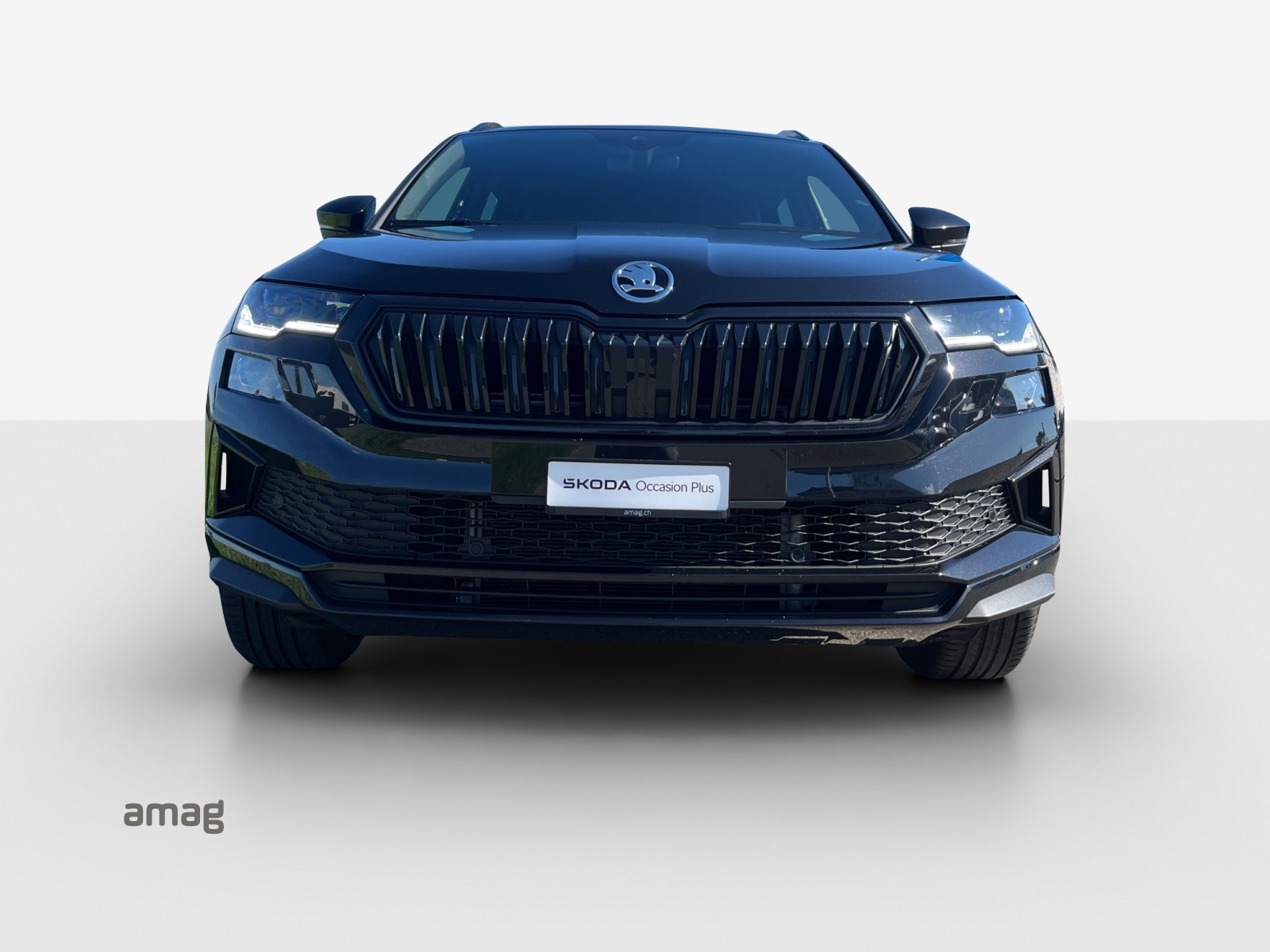 SKODA Karoq 2.0 TSI SportLine 4x4 DSG-image-6