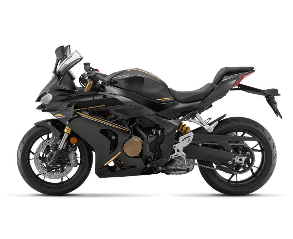 QJ SRK 800 RR-image-3