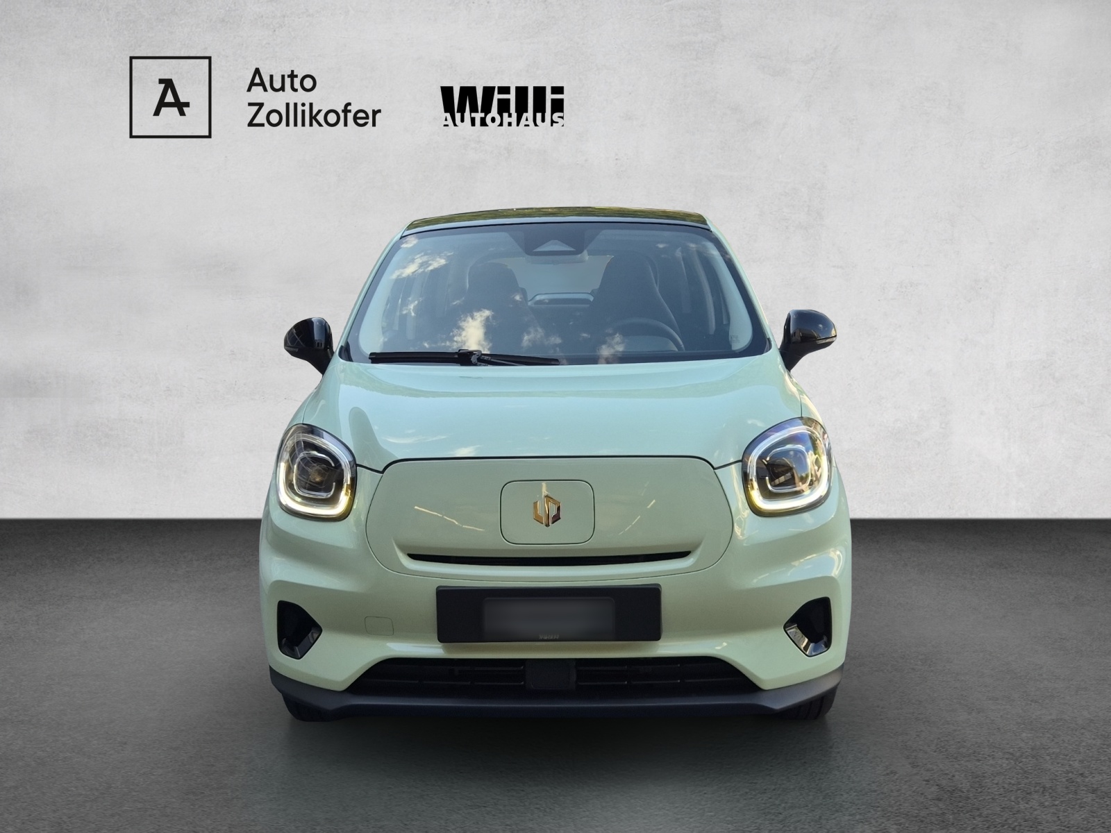 LEAPMOTOR T03 Electric 37.3kWh-showroom-element-1