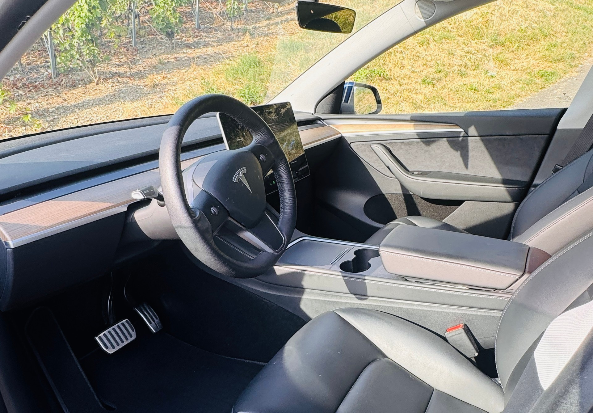 TESLA Model Y Long Range AWD-image-4