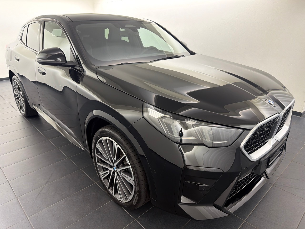 BMW X2 xDr 20d 48V M Sport-showroom-element-3