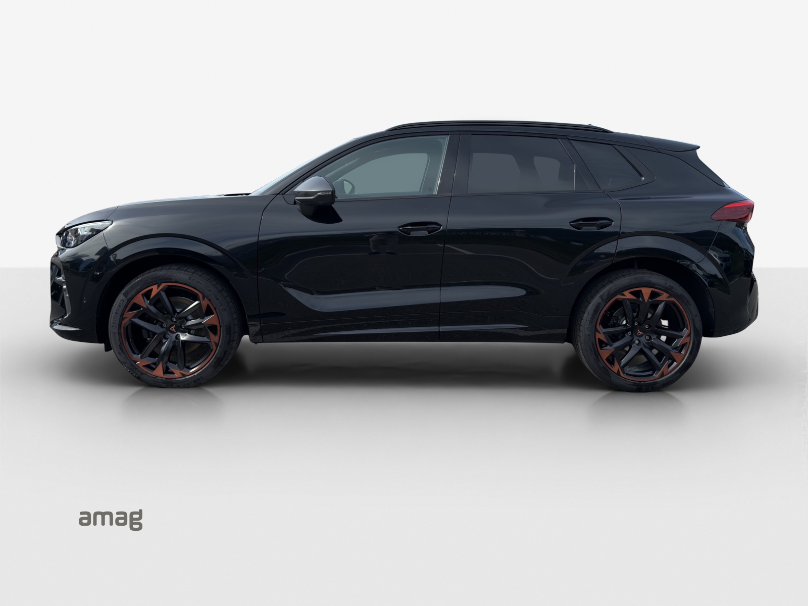 CUPRA Terramar 2.0 TSI DSG 4Drive VZ-showroom-element-1