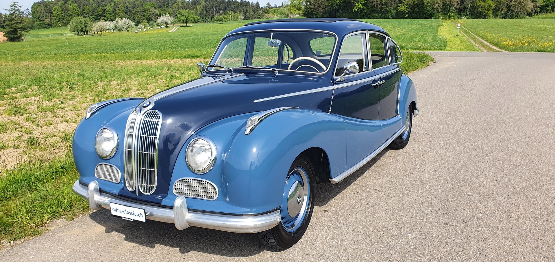 BMW 501