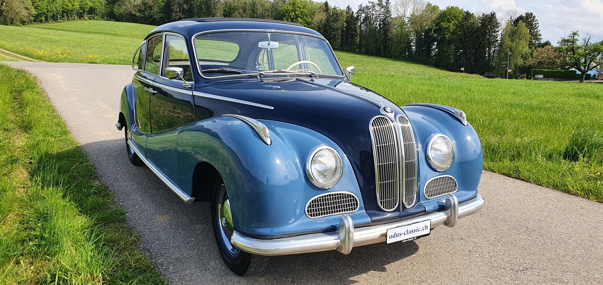 BMW 501-image-1