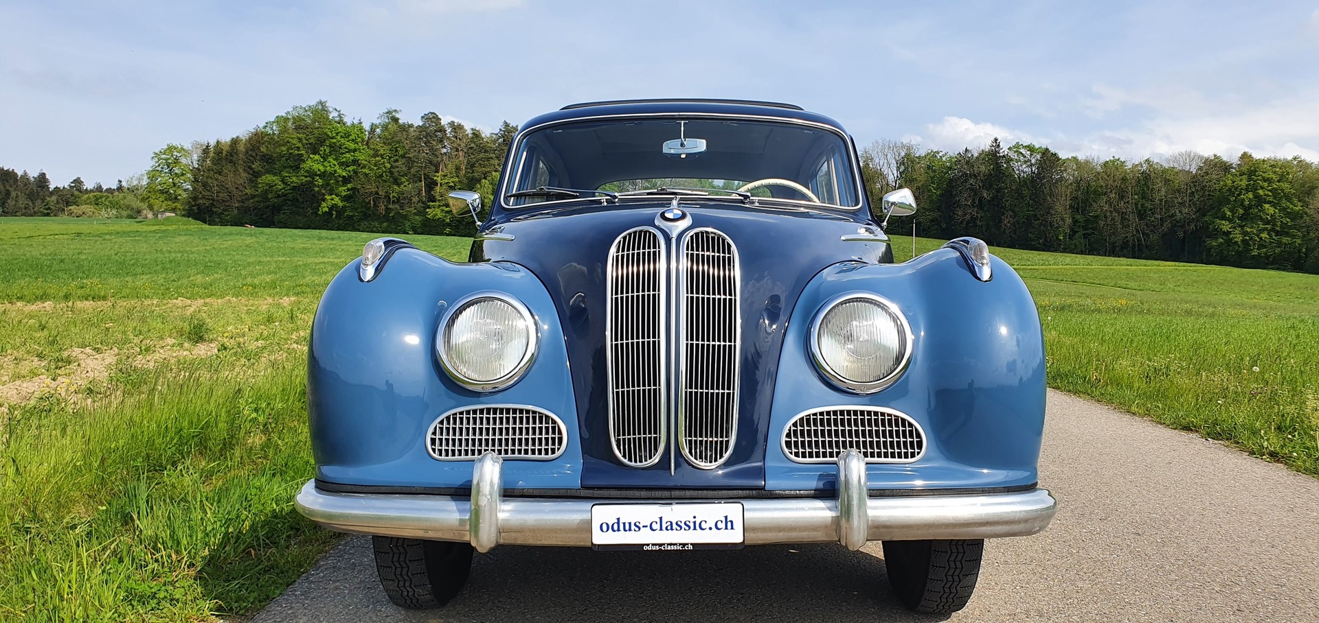 BMW 501-image-15
