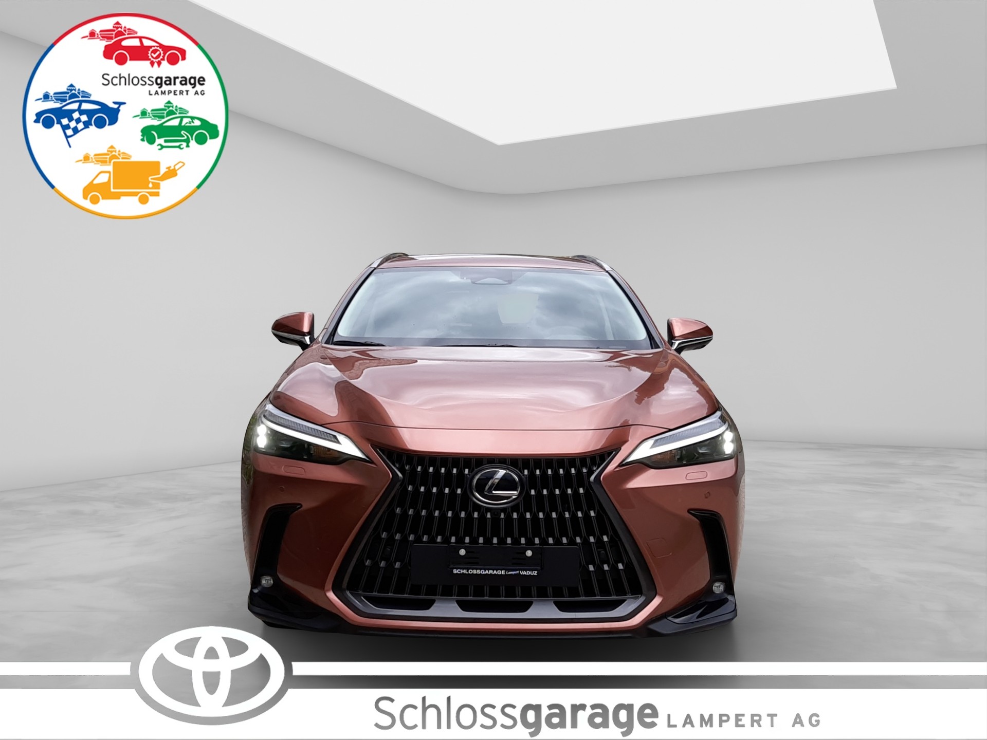 LEXUS NX 450h+ Excellence-showroom-element-1