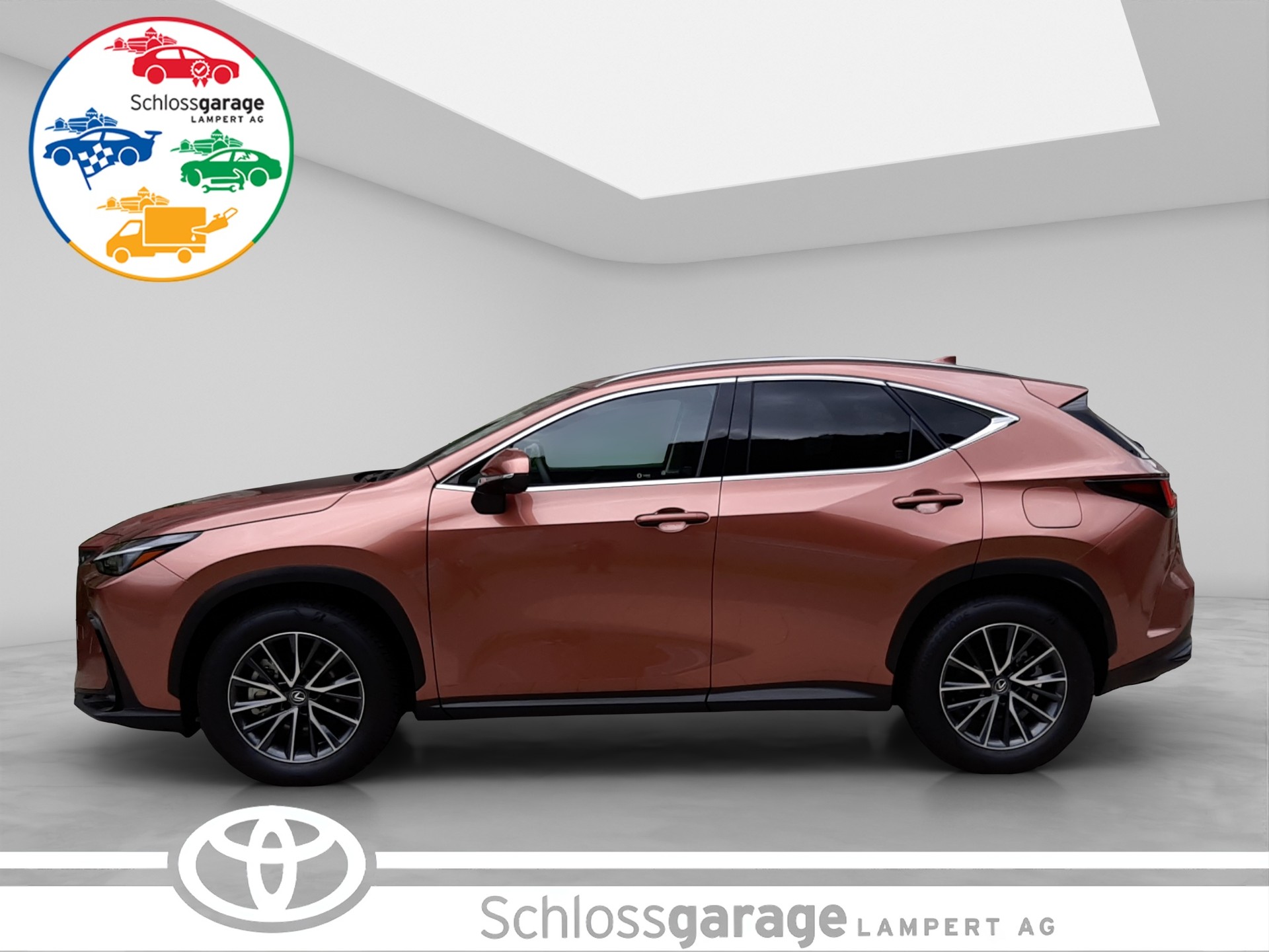 LEXUS NX 450h+ Excellence-showroom-element-2