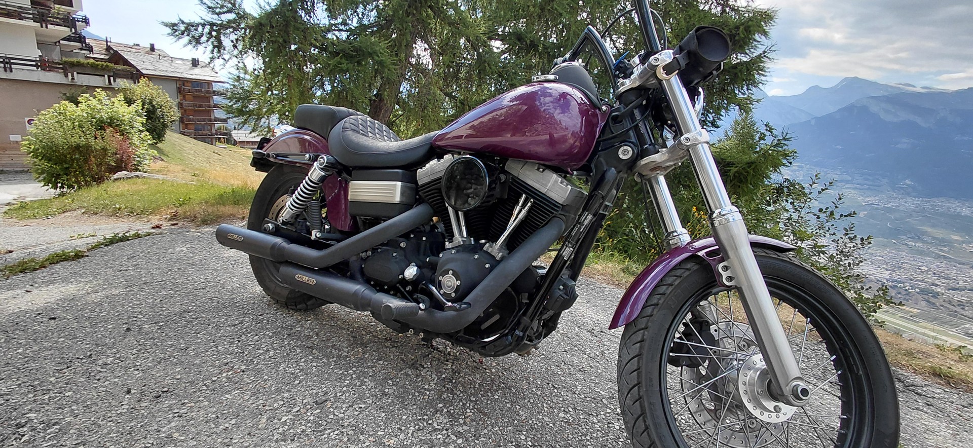 HARLEY-DAVIDSON FXDBI Dyna Street Bob-image-3