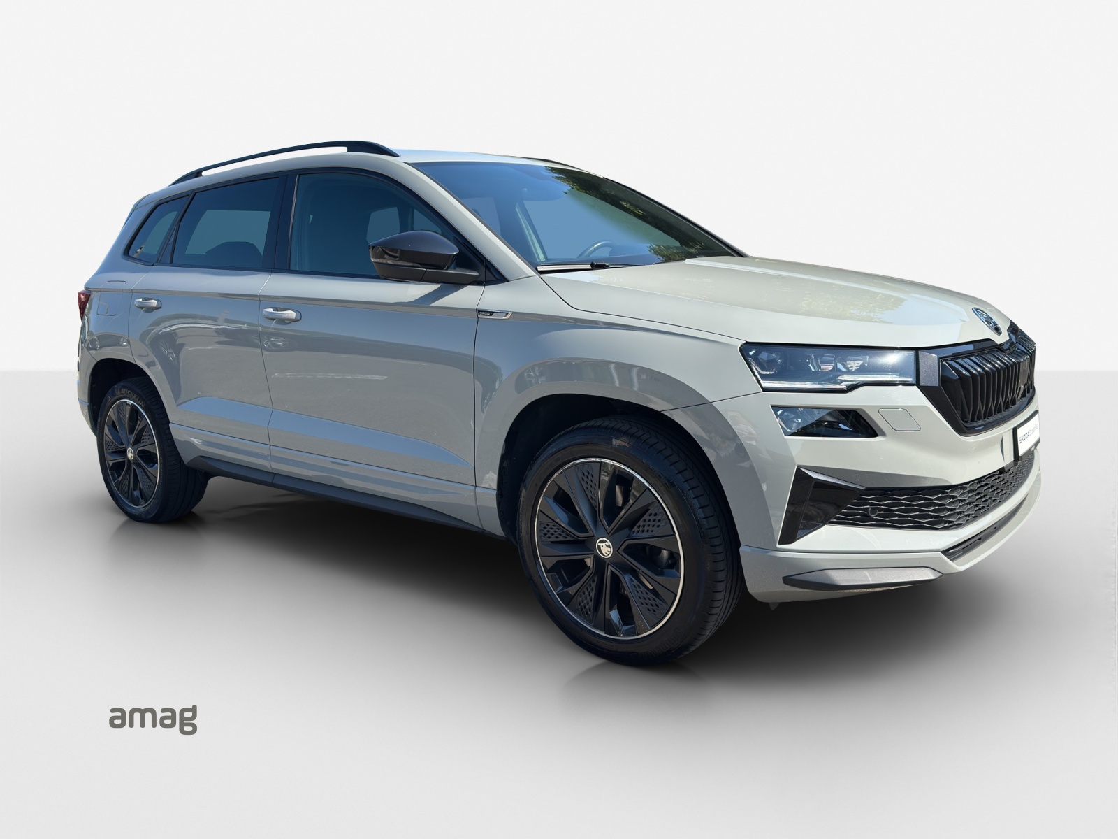 SKODA Karoq 1.5 TSI SportLine DSG-image-6