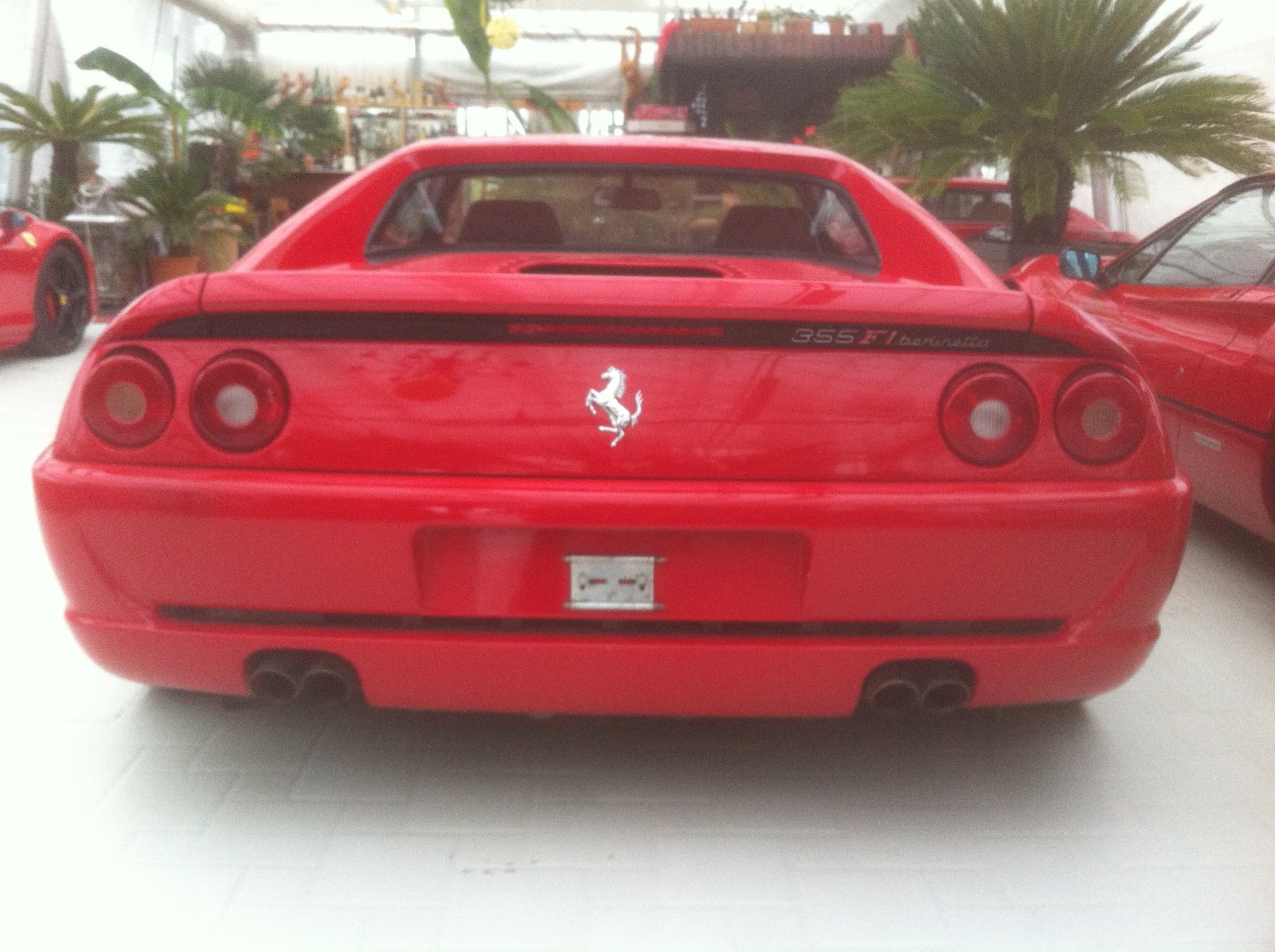 FERRARI F355 F1-image-4