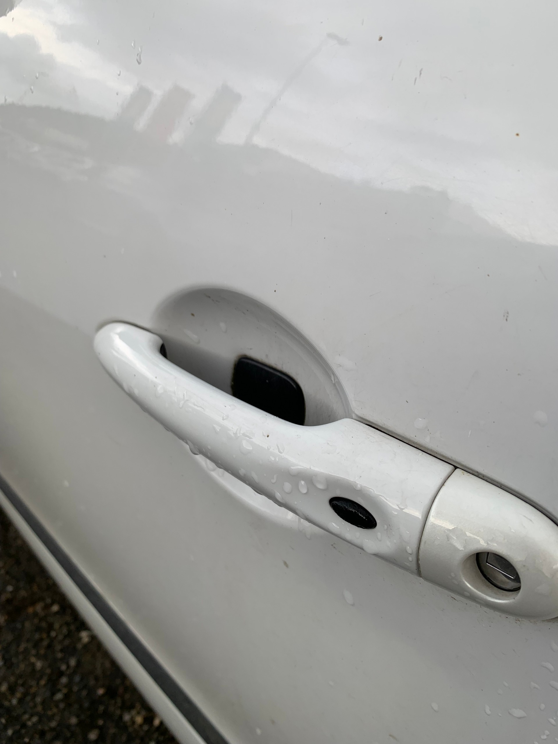 RENAULT Grand Scénic 1.6 dCi Swiss Edition-image-12