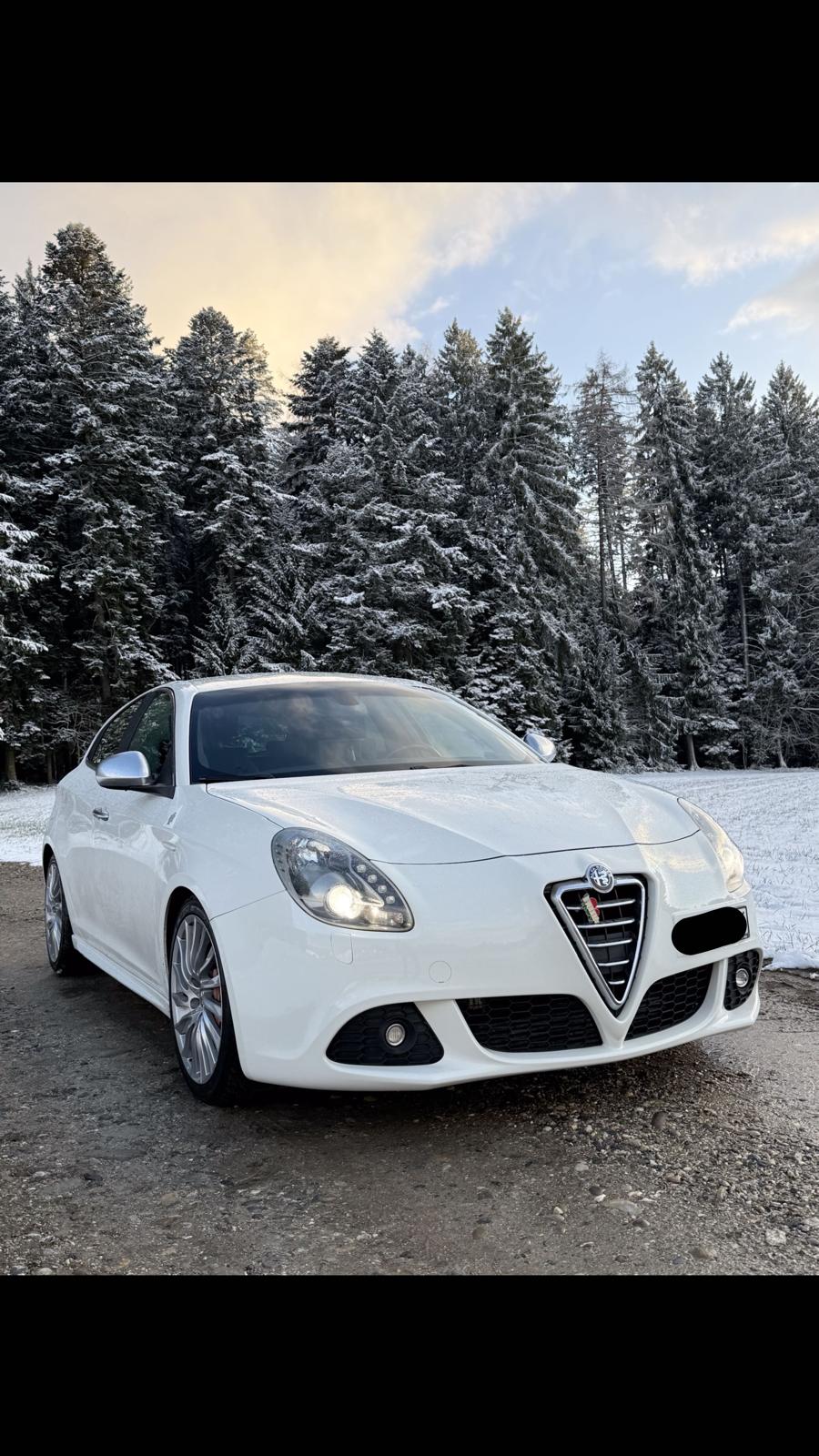 ALFA ROMEO 1750 TBi Quadrifoglio Verde