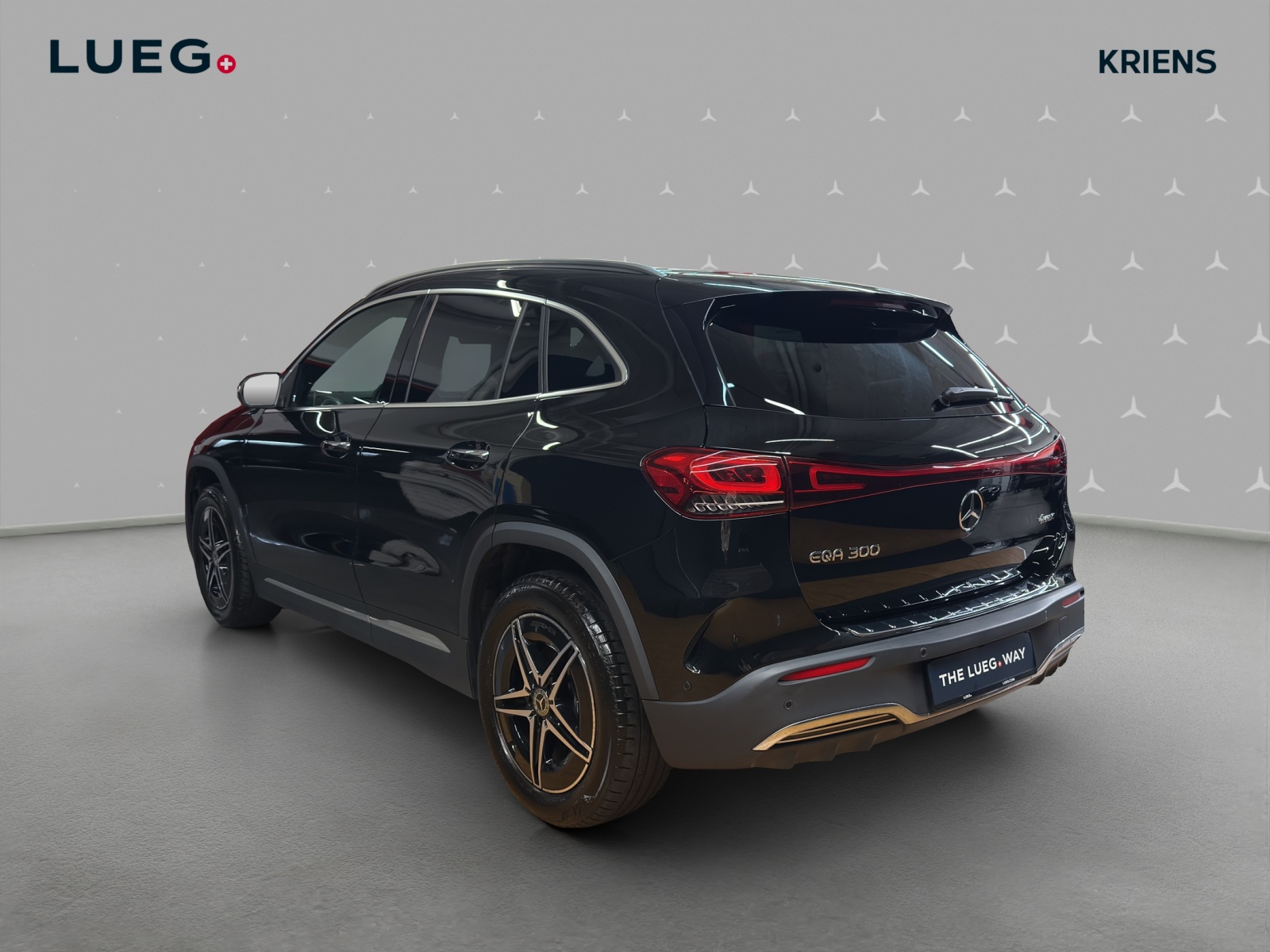 MERCEDES-BENZ EQA 300 4M - AMG / DISTRONIC / 360 Grad Kamera / Panorama-Dach-showroom-element-2
