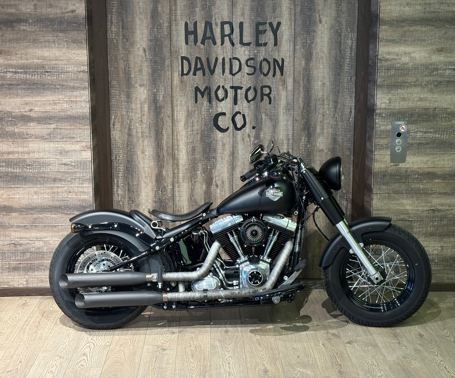 HARLEY-DAVIDSON FLS Softail Slim ABS-image-0