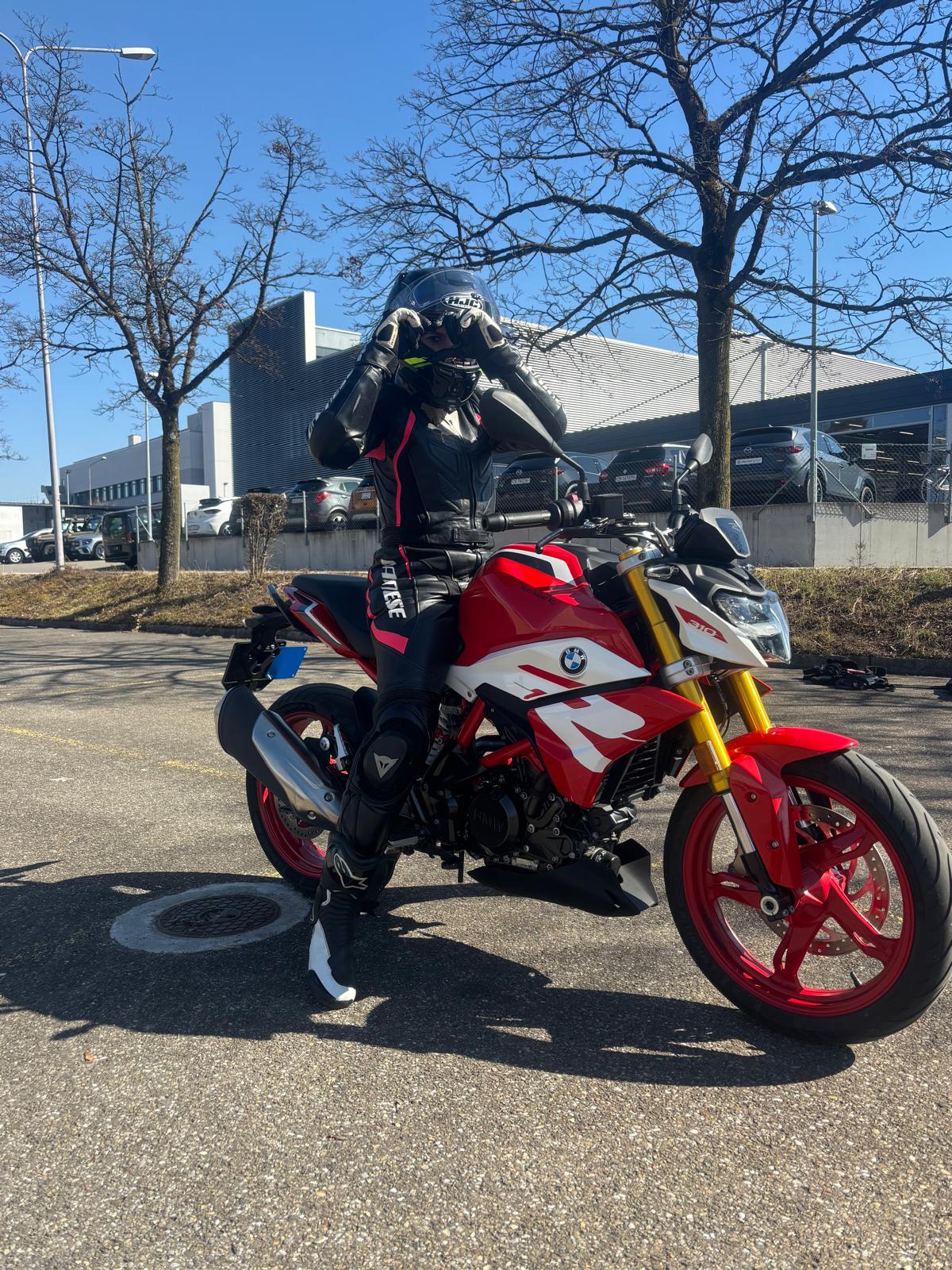 BMW G 310 R-image-2
