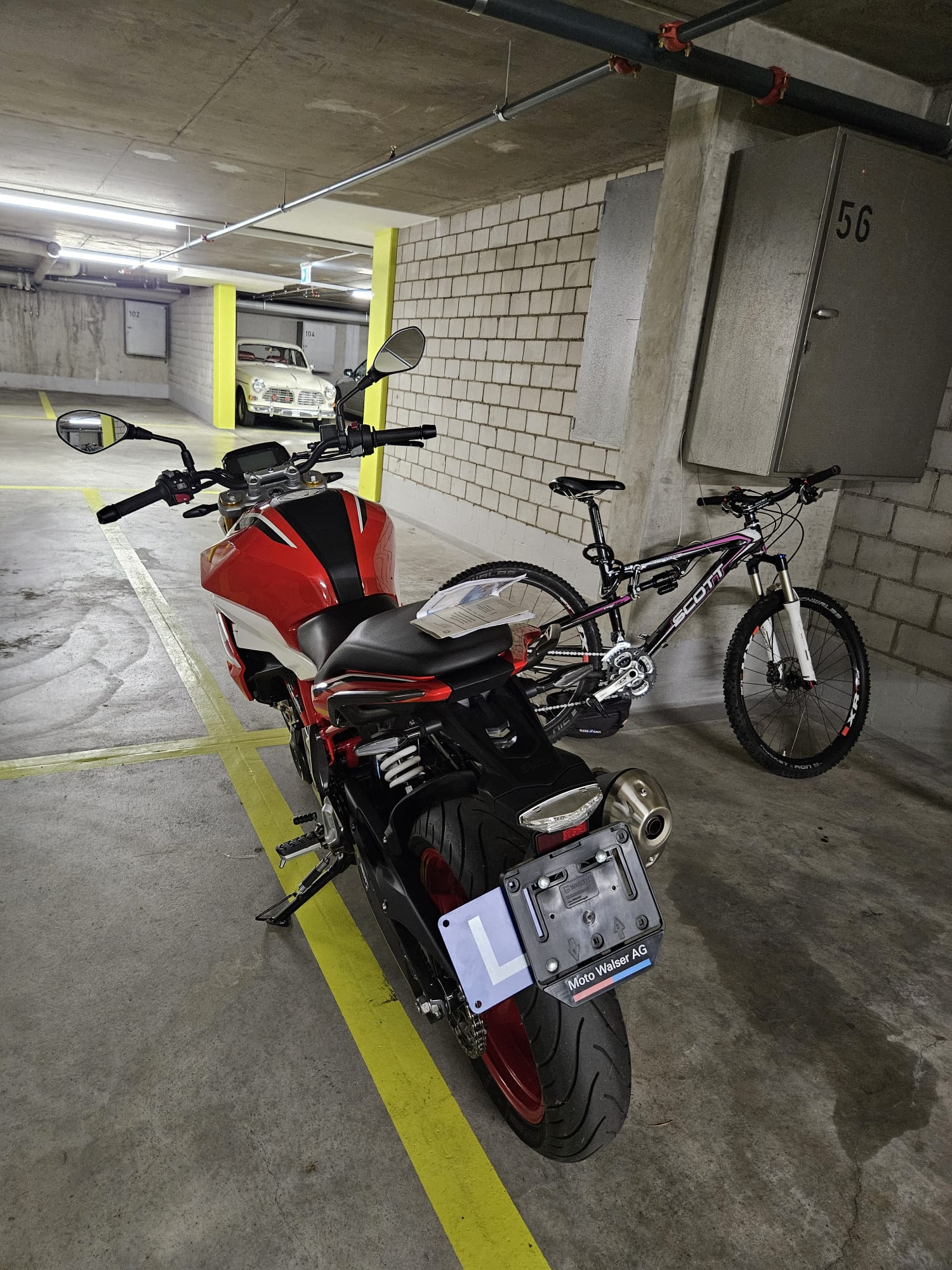 BMW G 310 R-image-1