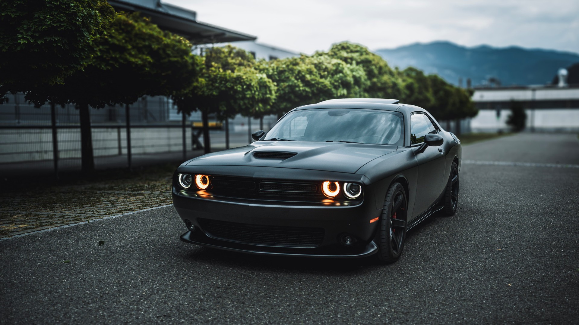 DODGE SRT 392 6.4 V8HEMI 🔥Seidenmatt🔥Grail Klappenabgasanlage 💣brachialen Sound💣-showroom-element-1