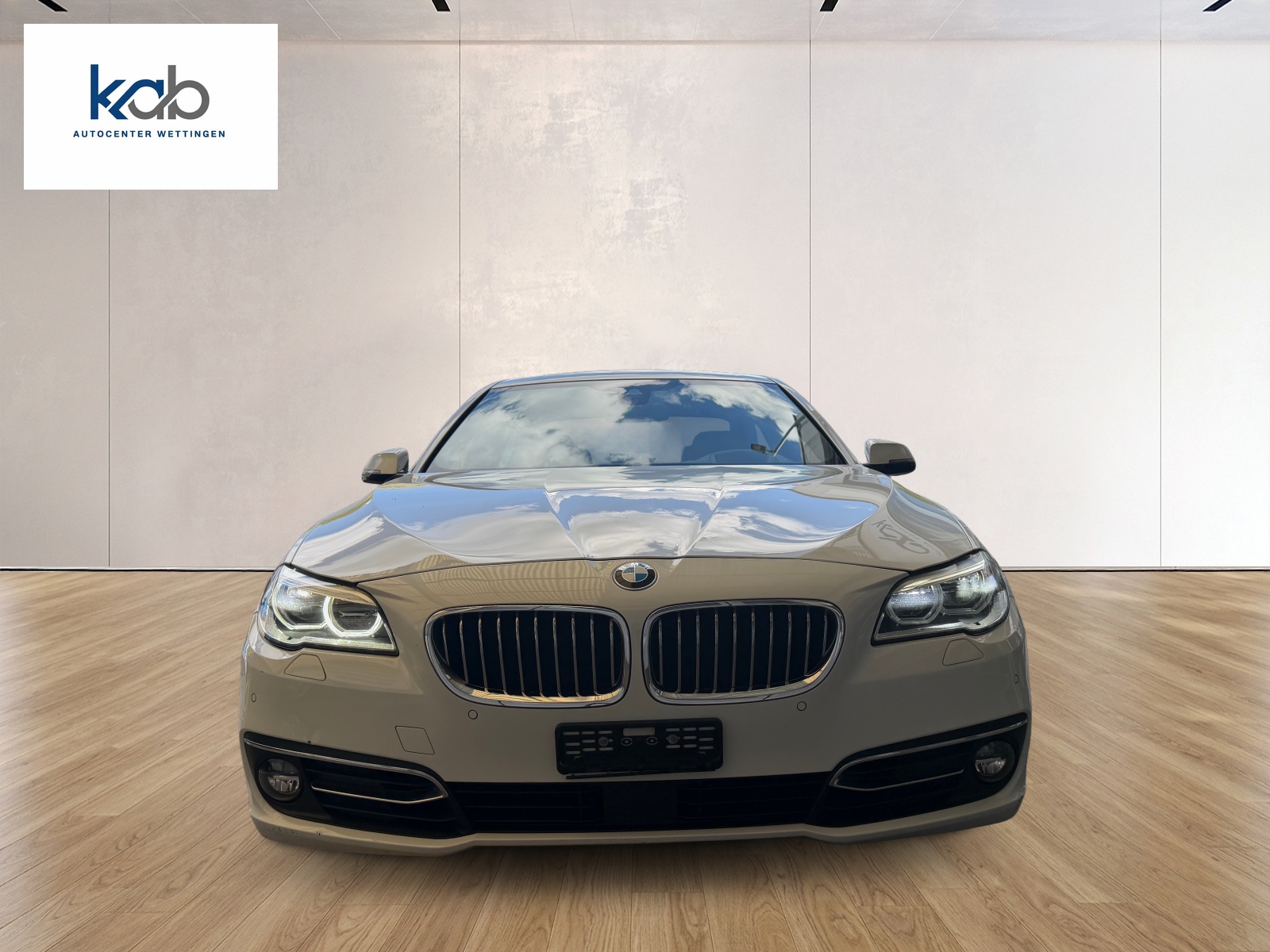 BMW 530d xDrive Luxury Line Steptronic-showroom-element-1
