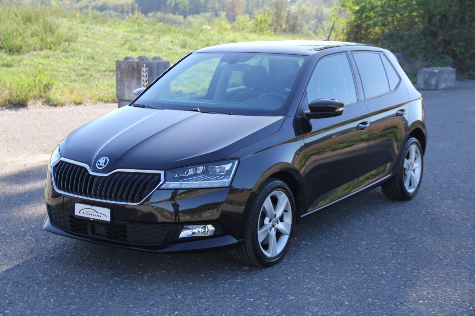 SKODA Fabia 1.0 TSI Style DSG