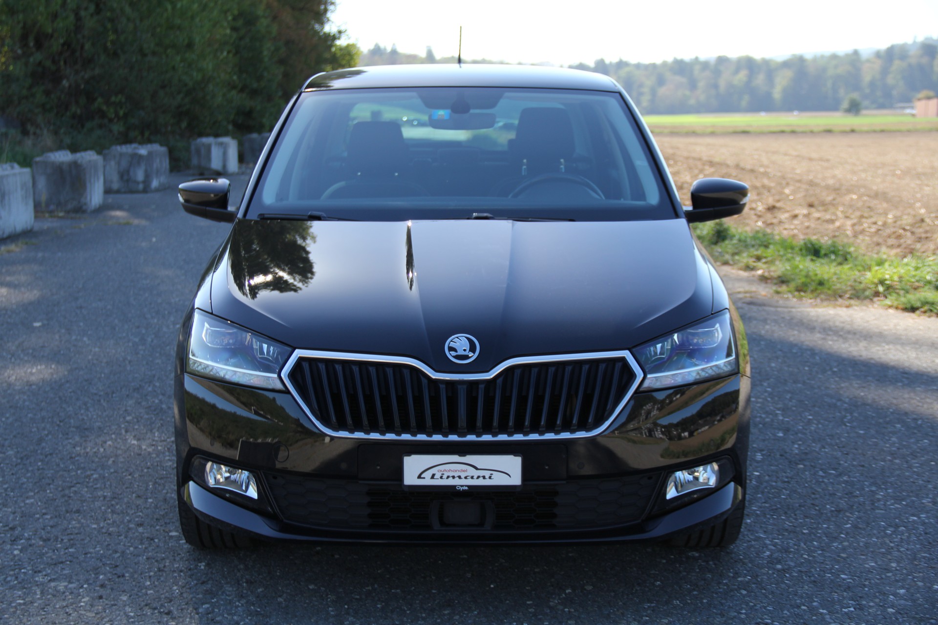 SKODA Fabia 1.0 TSI Style DSG-showroom-element-1