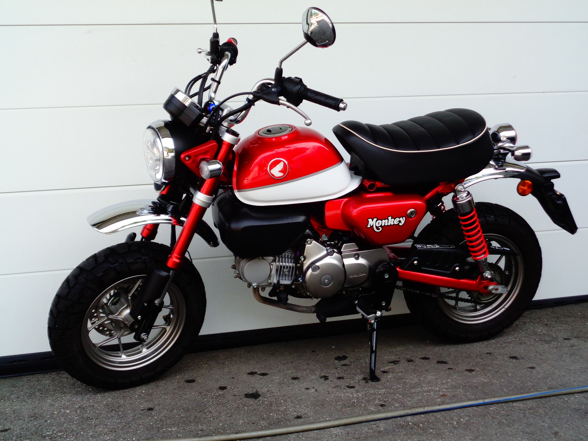 HONDA Z 125 Monkey ABS-image-5