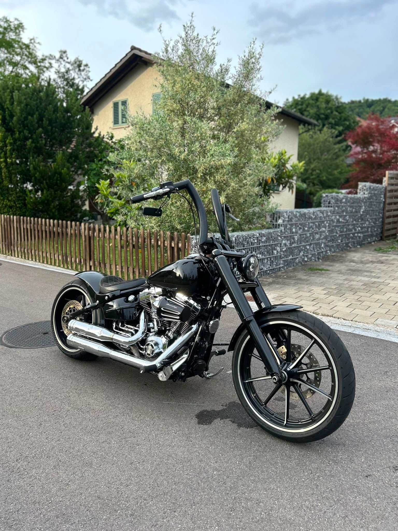 HARLEY-DAVIDSON Breakout 103-image-1