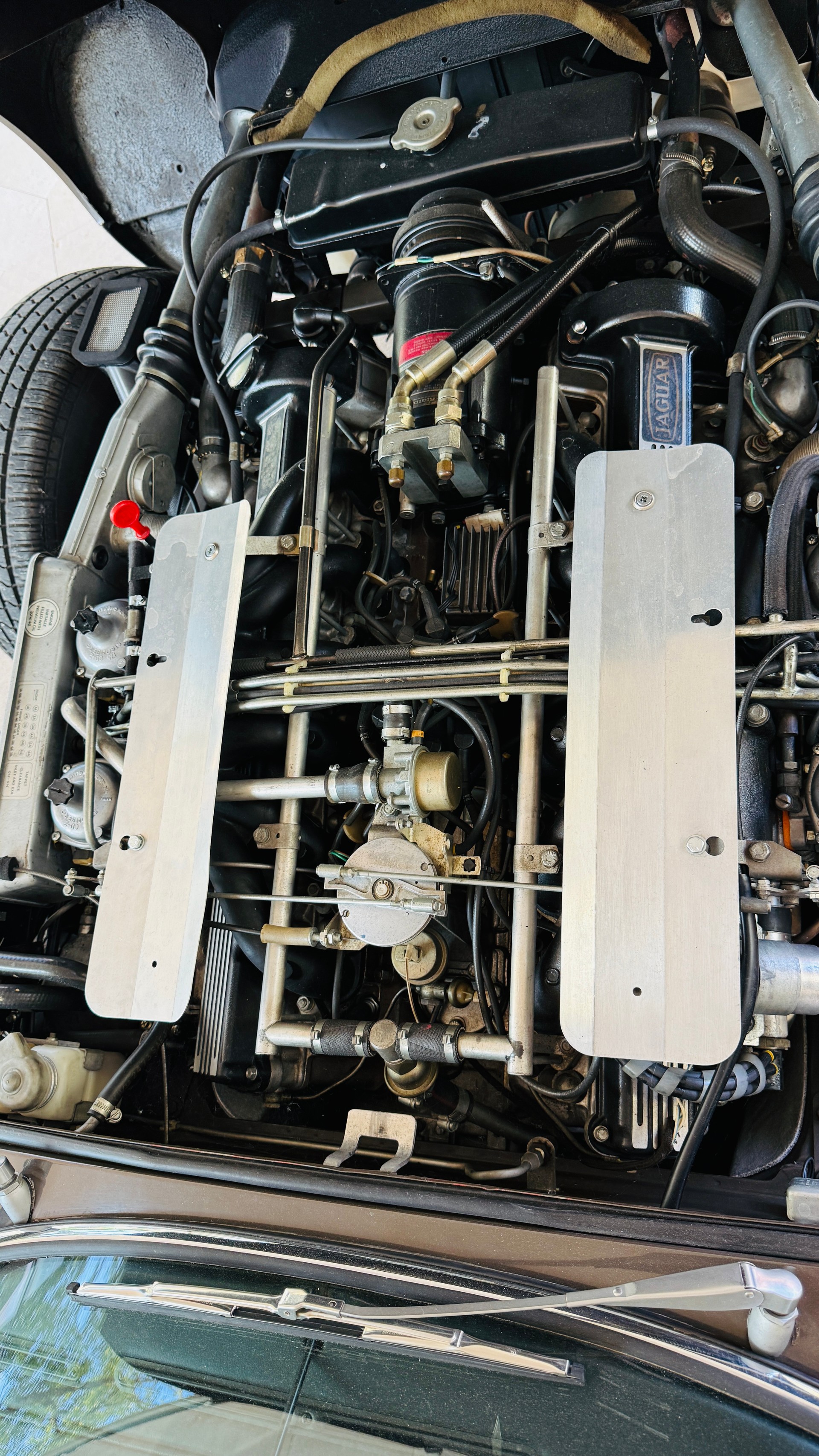 JAGUAR E Series 3-V12 Roadster Veteranenfahrzeug-image-16